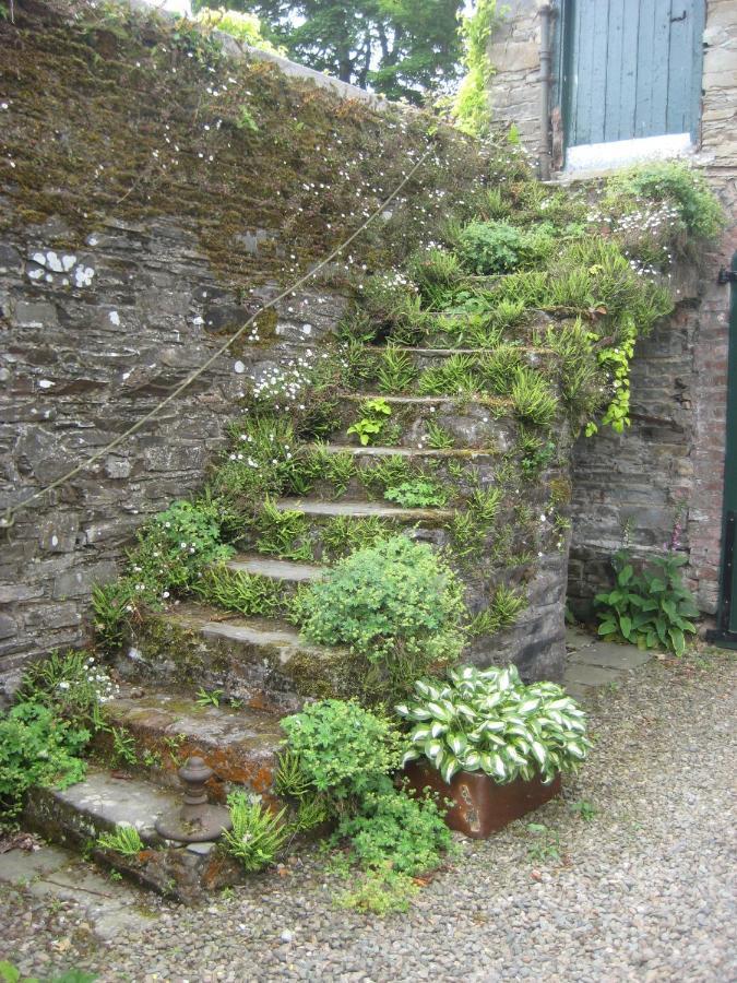 Ballydugan Country House Downpatrick Eksteriør bilde